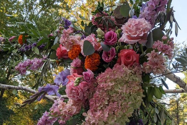 Chevy Chase Florist 5