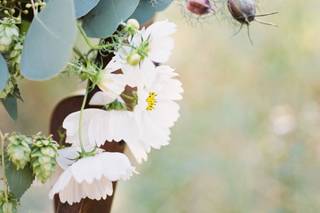 Amber Glanville Photography - 6