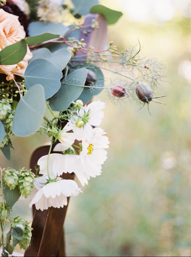 Amber Glanville Photography - 2