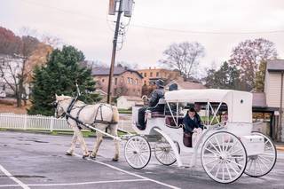 Horsing Round Carriage Service - 8