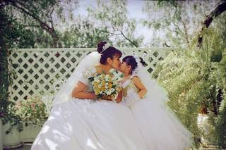 Mark Wangerin Photography - 18