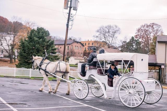 Horsing Round Carriage Service - 4