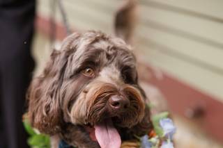 Avela Floral Design - 27