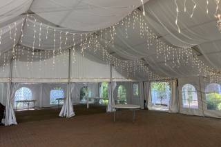 Historic Jasmine - 52