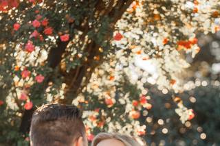 Cicily Ashcraft Photography - 4