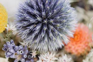 Rocheal Photography - 25