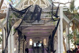 Fairy Godmother Parties and Events - 18