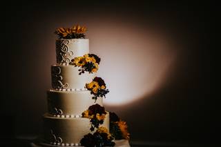 James Webb Photography - 18
