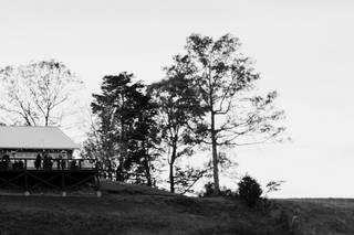 Applehead Photography & Design - 47