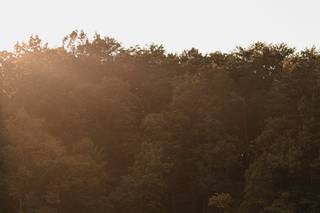 In The Woods, LLC - 69