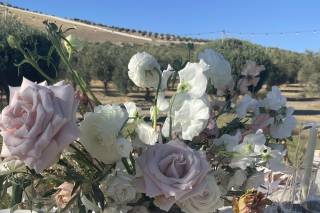 Cora Bella Weddings & Events - 10