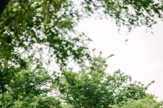 Events Boutique - 12