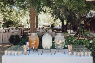 Amiee D'Maris Weddings - 7