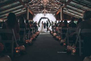 Tee Lynn Photography - 27