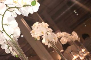Tabby Lane Events - 6