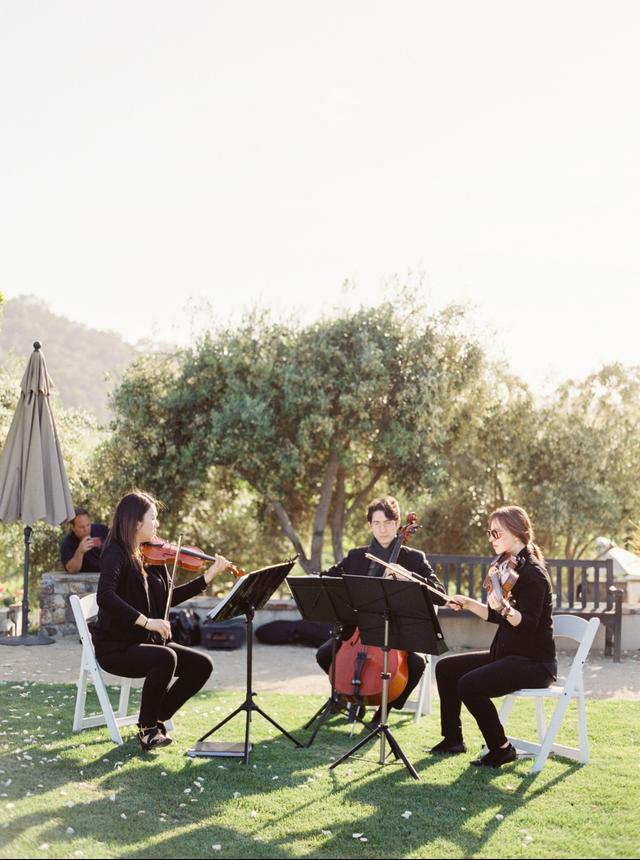 Accordia Music - 2