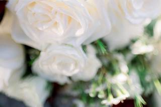Petals and Greens - 5
