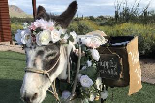 Haul N Ass Productions - 69