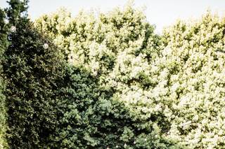 Jessica Lynn Weddings - 33