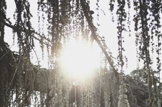 Ricky Restiano Photography - 39