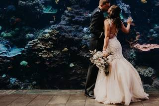 Aline Marin Photography - 23