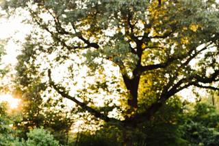 Kelly Prizel Photography - 14