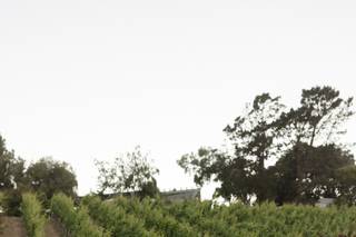 Nella Terra Cellars - 22