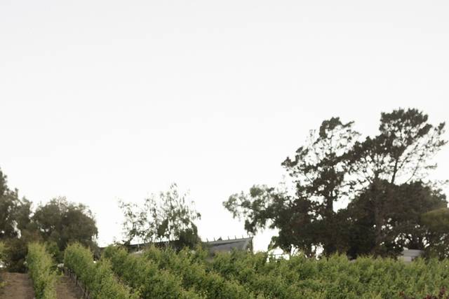 Nella Terra Cellars 4
