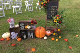 Petal Burst Designs - 34