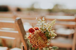 Frampton's Flowers - 23
