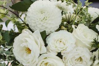 Chelsea Carter Events - 7