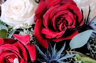 Perkasie florist - 47