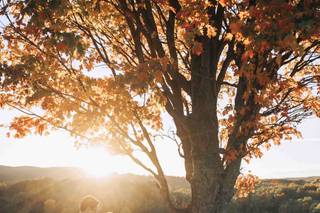 Tom Harmon Photography - 38