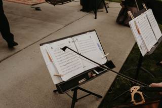 Puget Sound Strings - 16
