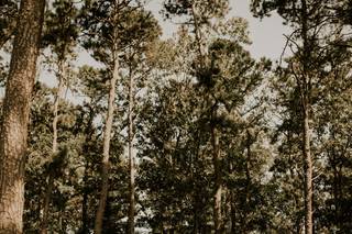 Running Deer Golf Club by Ron Jaworski Weddings - 65