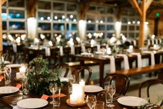Bird Dog Wedding - 29