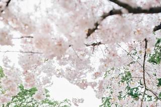 Anna Perevertaylo Photography - 24