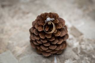 Fox + Vine Weddings - 7