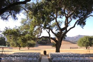 Michele Carroll Events - 19