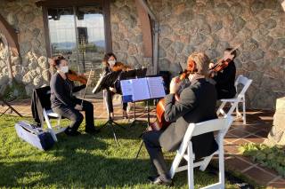 Strings for All Occasions - 8