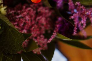Magic Arrow Photography - 77