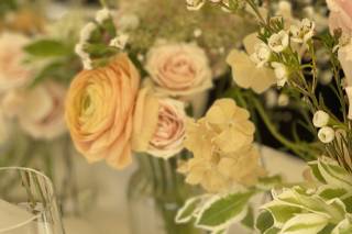 Monica’s Ideal Design - 9