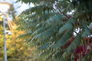 Ludwig Photography - 23