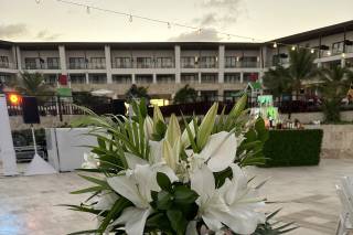 Vlady Flowers - 133