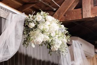Mayfly Flowers - 59