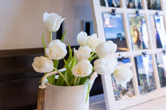 Juniper Cupertino, Curio Collection by Hilton - 3