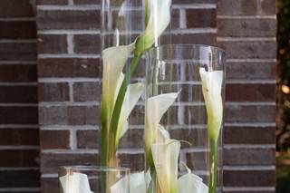 Enchanted Florist - 28