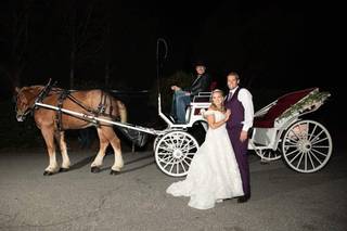 Priceless Carriage Company - 3