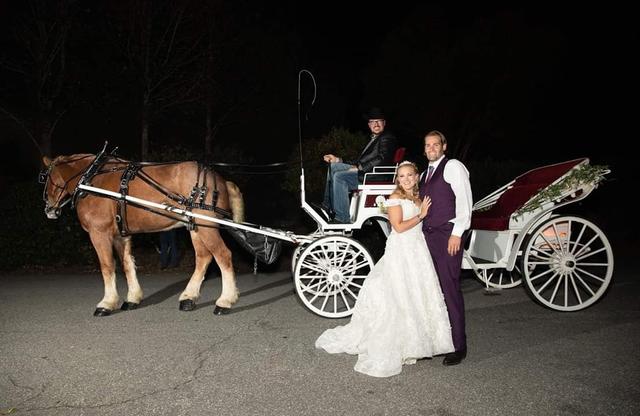 Priceless Carriage Company - 1