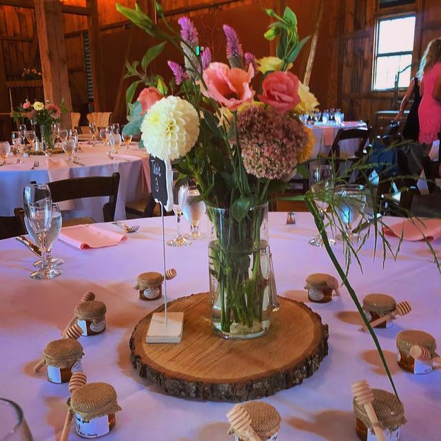Wisteria Cottage & Barn - 1